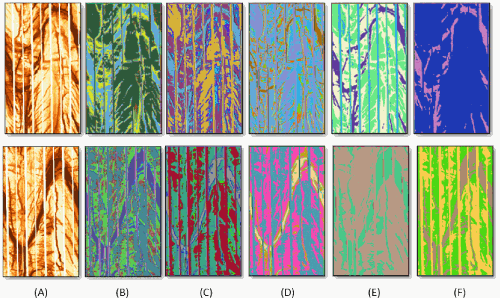 Scribble-guided segmentation showing 11 clusters identified after using a hand-drawn scribble