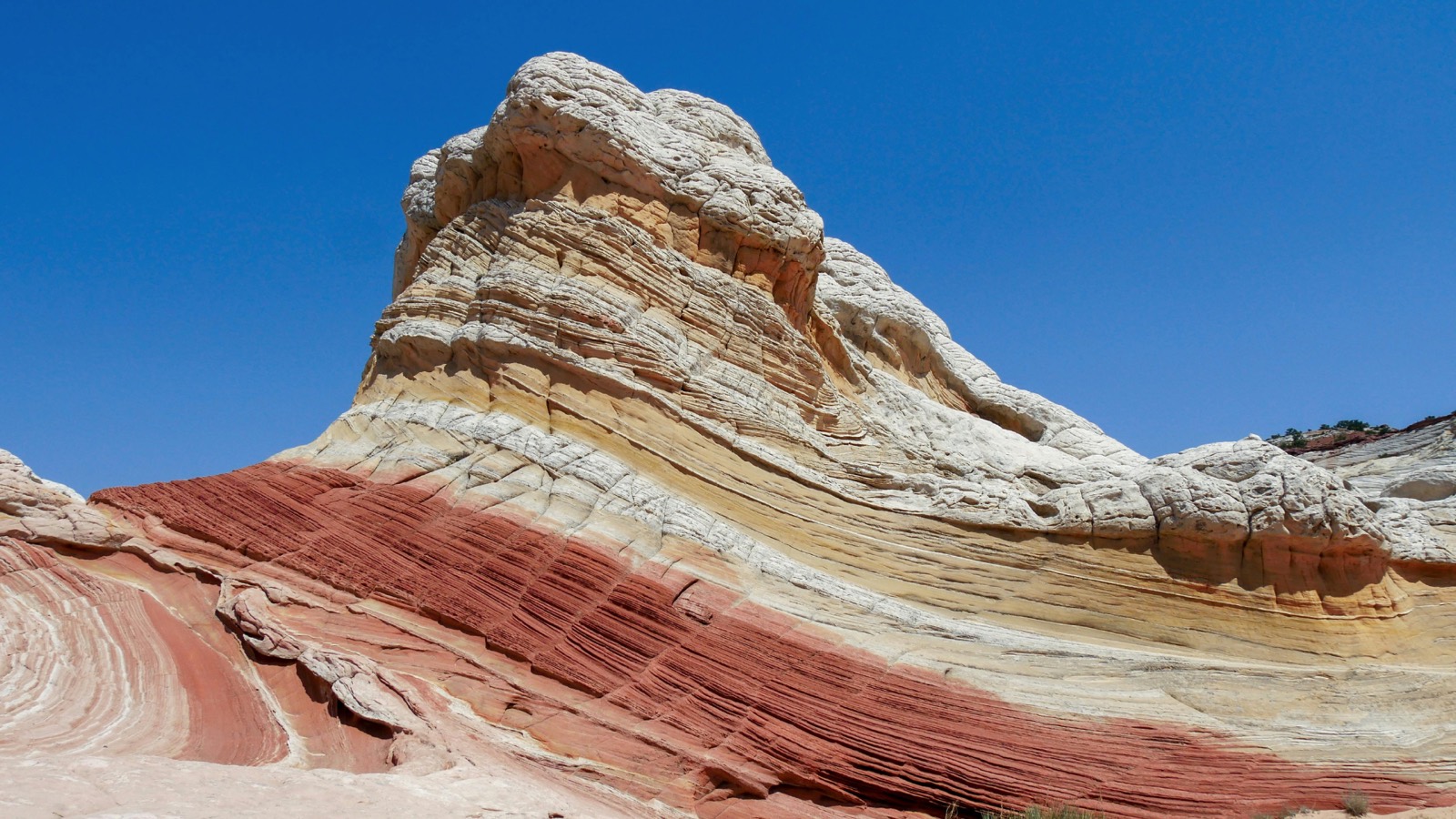Seismic Foundation Models: The CDO's New Edge